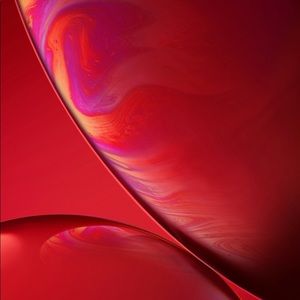 Meet your Posher, Jovany